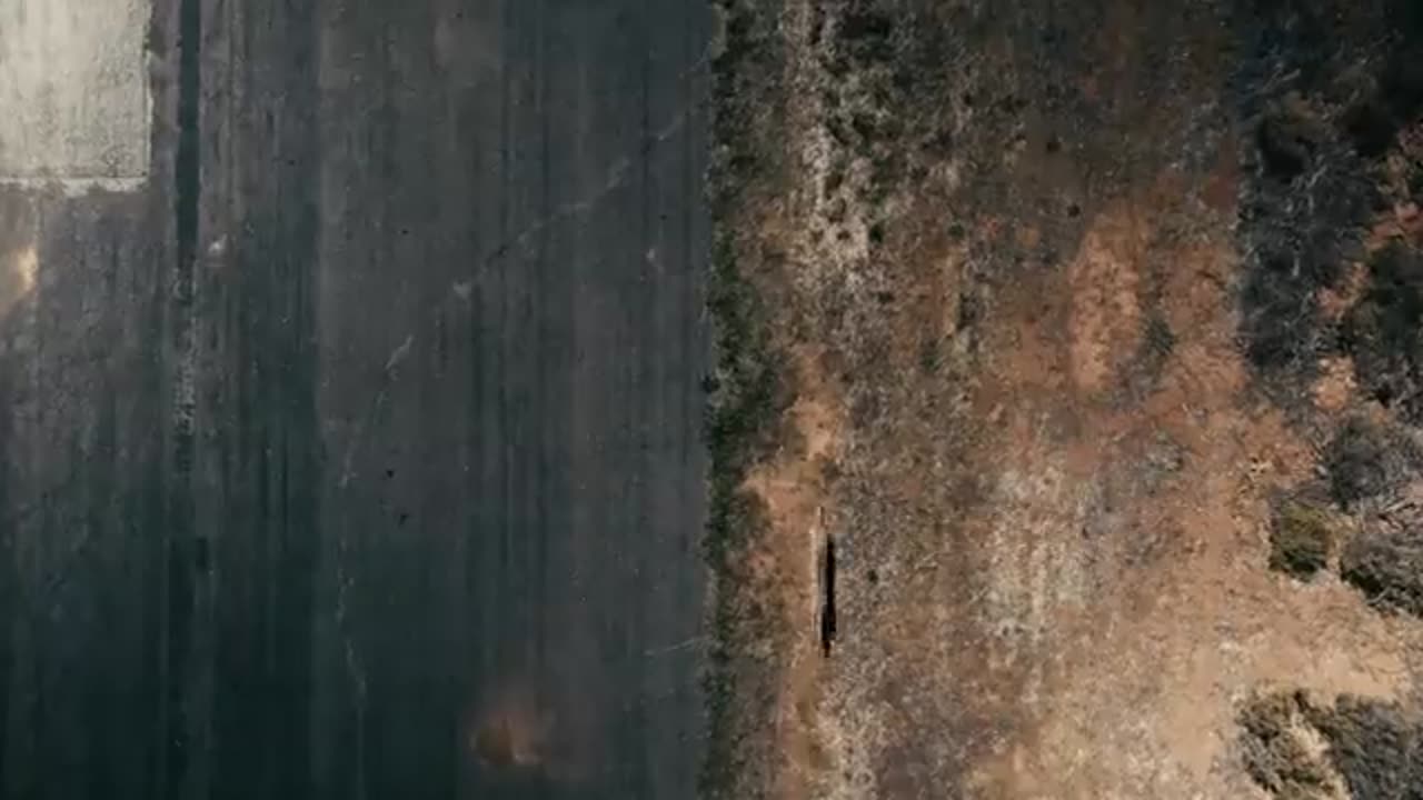 Car vs Cheetah 🐆 race