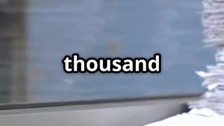 Biden's Autopen Pardons: What Really Happened?