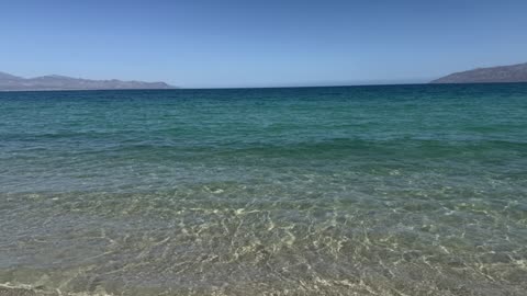 Praziquantel, Ivermectin, and Mebendazole Treatment for Parasites