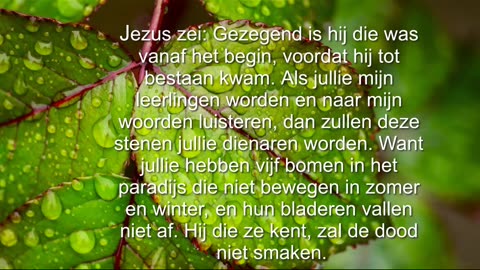Gezegend is hij die was