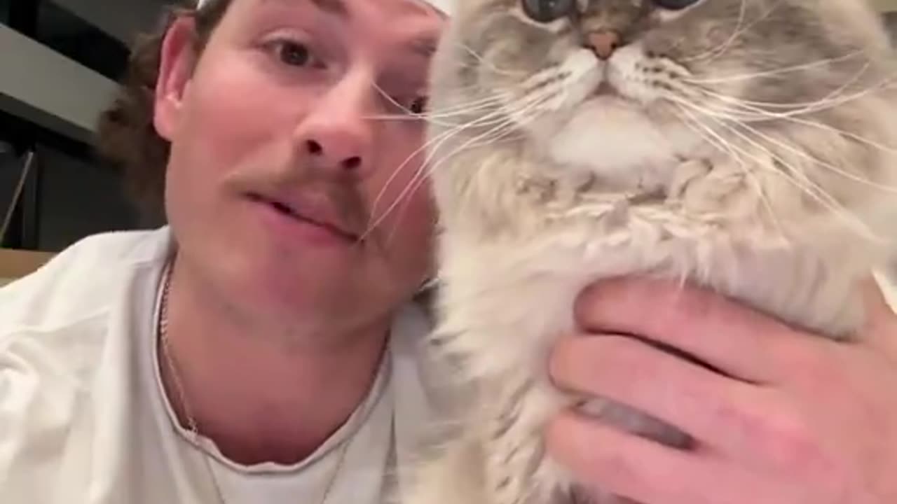 🐱: you birth me? Damn..