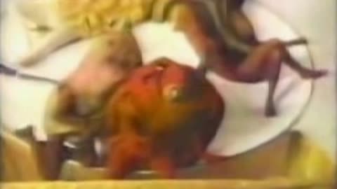 Commercial - Hefty Trash Bags w Jonathan Winters as discarded tomato
