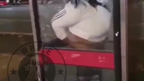 Obese NIGGER FEMALE SHEBOON uses phone booth as a toilet.