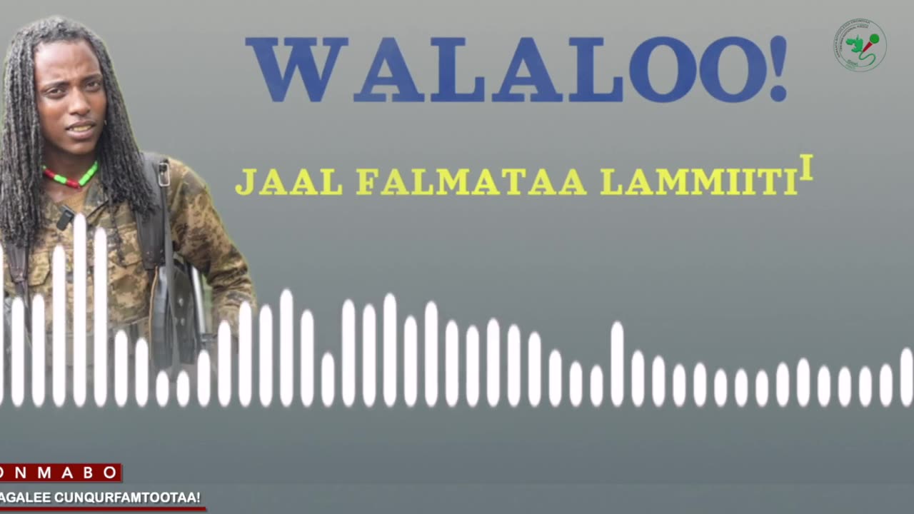 Qophii Walaloo ONM-ABO Ebla 13-2025 itti dhiyaadhaa!