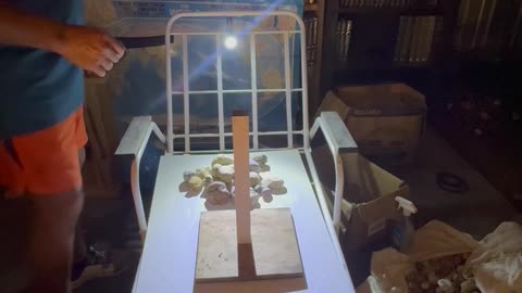 The Sun, it’s photons, the Moon, and it’s shadow.