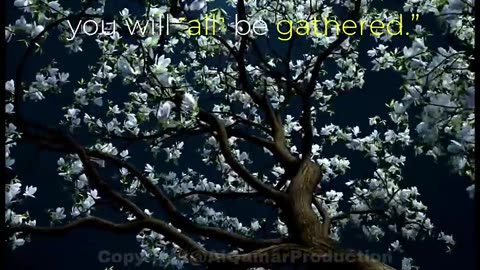 Surah Al-Mulk 24–28 | Wake-Up Call to Reflect | Soul-Stirring Quranic Reminder