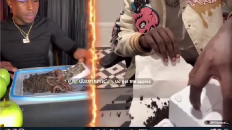 - FINESSE & NO CAP ; BIGO FEAR FACTOR !