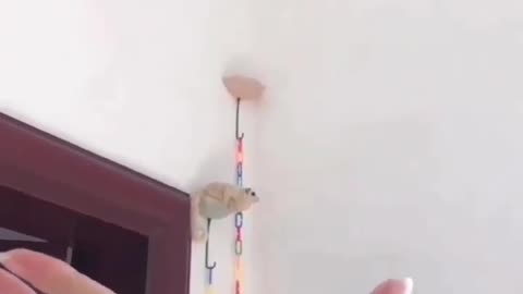 Flying towards you is trust