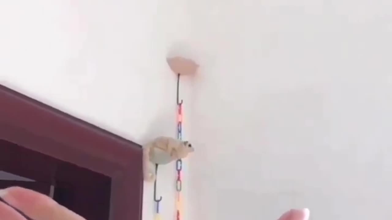 Flying towards you is trust