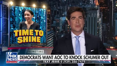 The Democrats lost two big bets Watters.