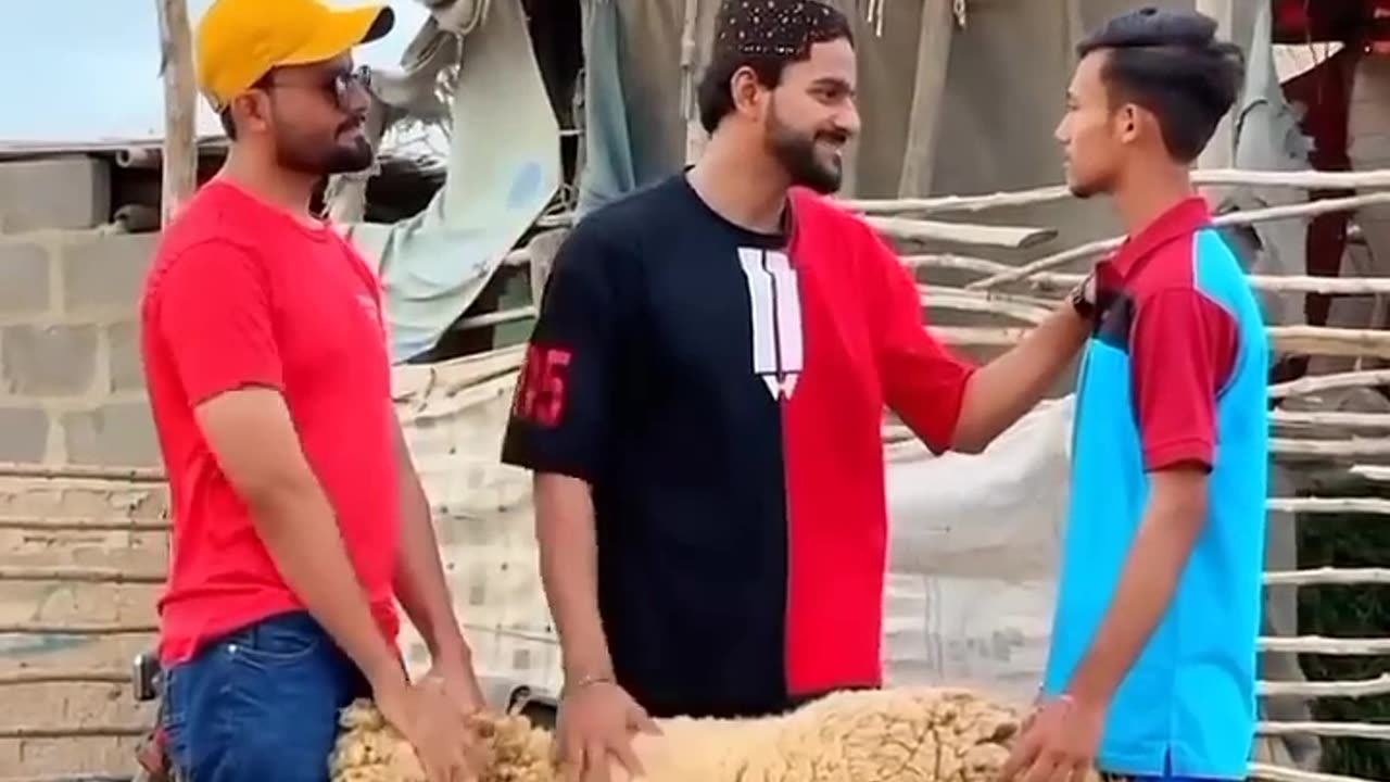 Camera man Ko Dumba Gift 🐑 🎁