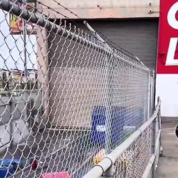 Conveniently placed bricks and rocks...just like 2020 (Read Description)