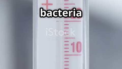 How Cold is Your Freezer Really