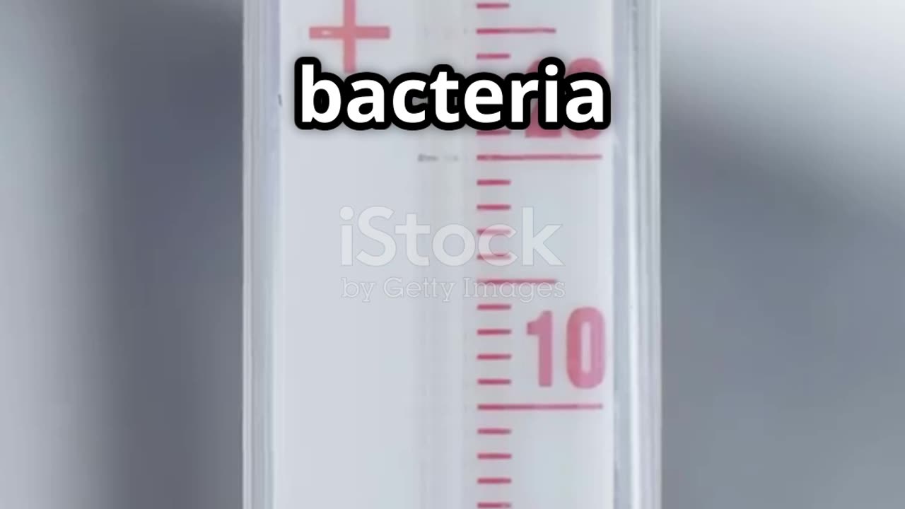 How Cold is Your Freezer Really