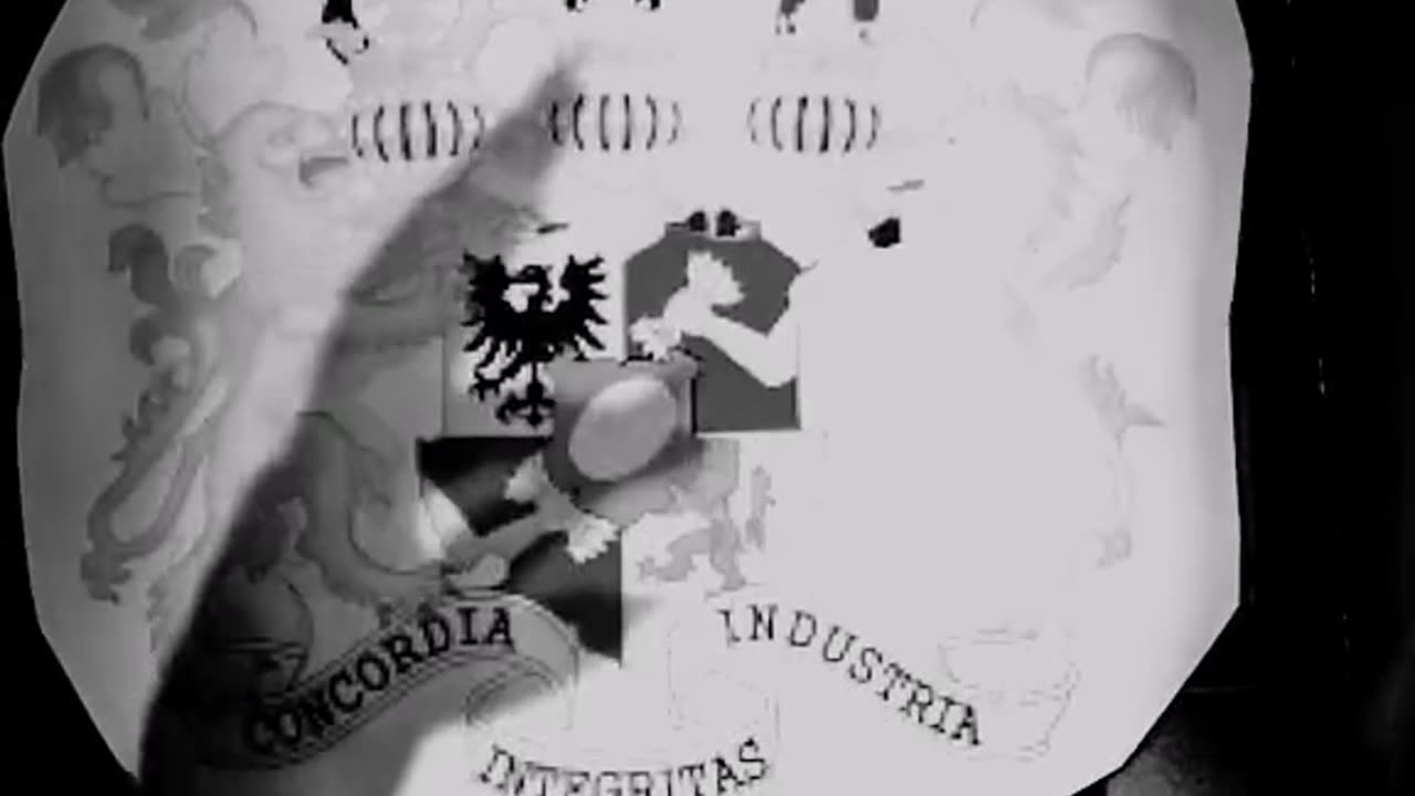 Tim Rifat TikTok Videos