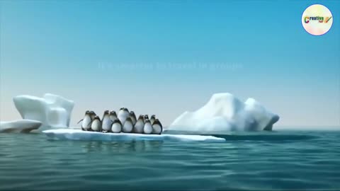 Team work and Leadership
