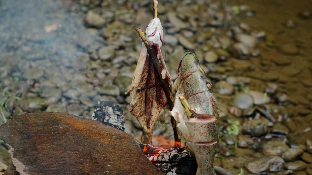 Rainbow Trout. Catch and Cook Over An Open Fire Outdoor Cooking ASMR