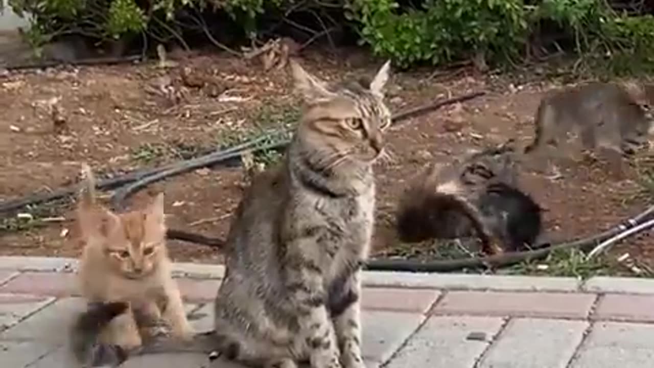 😂😔 This Parent's Regrets Will Make You Laugh! | FunFM