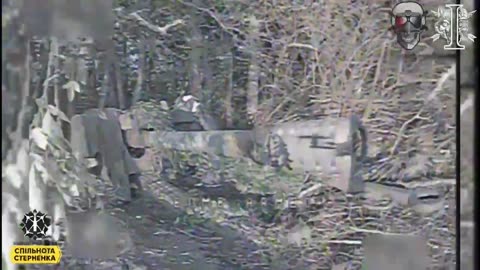 🔥 Ua_Reg Team hit 2 2S1 Gvozdyka self-propelled guns and 8 camouflaged guns in Kursk region.
