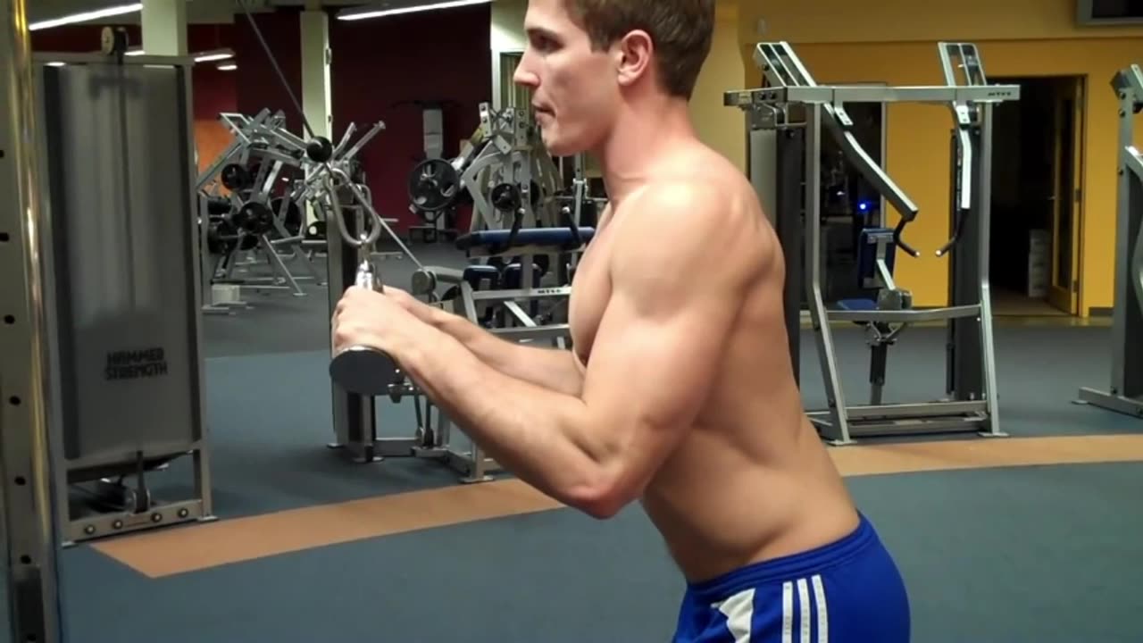 SG 1006 How To Triceps Pushdown