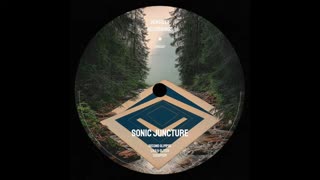 Sonic Juncture - Lilo & Glitch(2024)