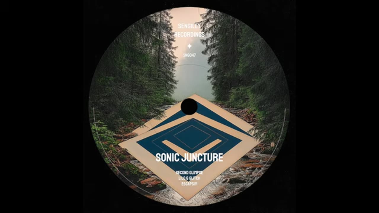 Sonic Juncture - Lilo & Glitch(2024)