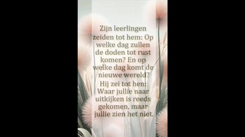 Op welke dag zullen