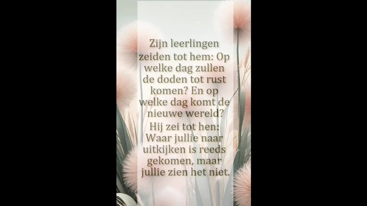 Op welke dag zullen