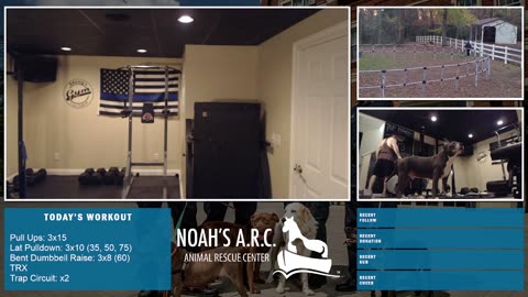 LBL Session w/Hank-a-Tank [Week 19] - Back & Traps // Animal Rescue Stream :)
