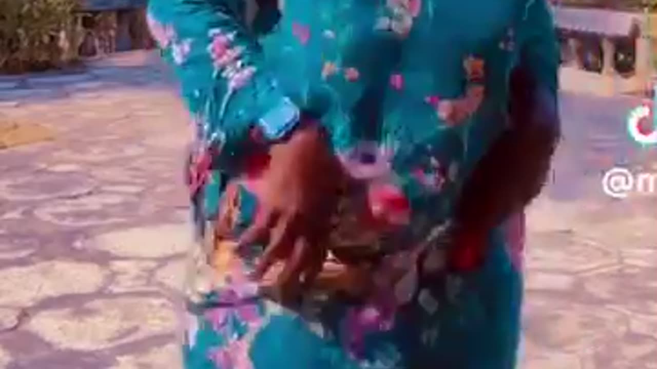 Bigbank Trending Tiktok Challenge New Released