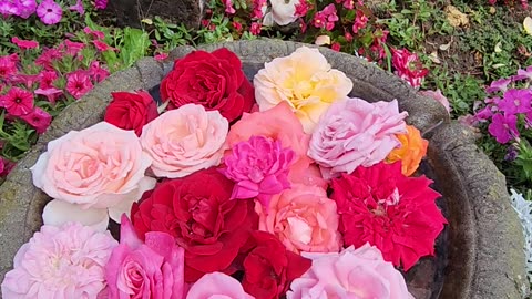 The 51 second Birdbath makeover for future Birds Love to sit on Flowers Presentations.