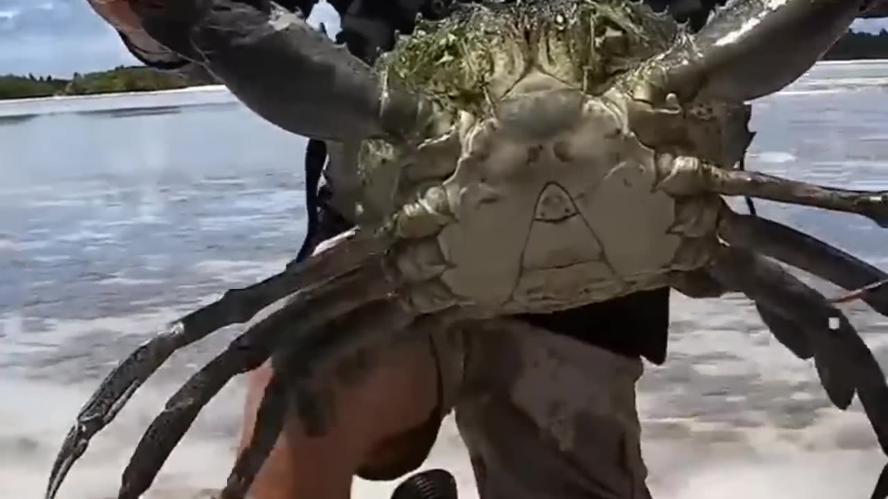 Most Interesting Videos-1