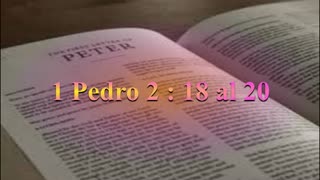 Estudio,1 Pedro 2: 18 al 20
