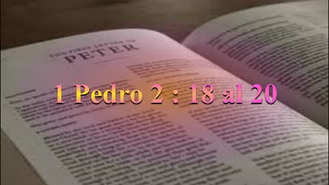 Estudio,1 Pedro 2: 18 al 20