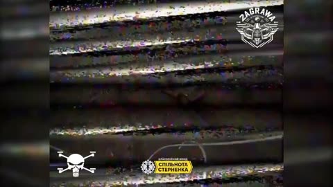 Flying Skull fatally stops the enemy in the Pokrovsk direction!