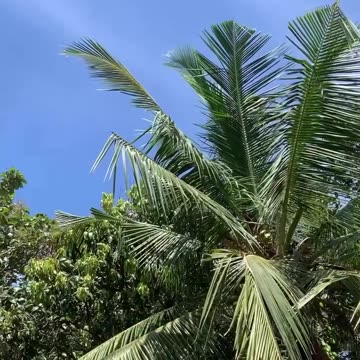 First time see an alien 👽👽👽 very dangerous alien