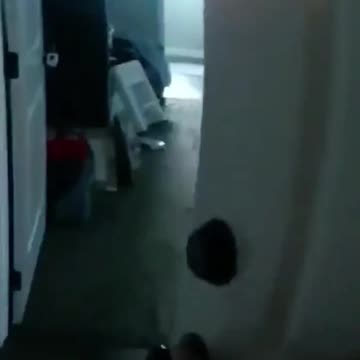 GUN LAWS IN ACTION - VOL. 672: THE HAIGHT FAMILY MASSACRE