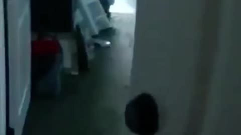 GUN LAWS IN ACTION - VOL. 672: THE HAIGHT FAMILY MASSACRE