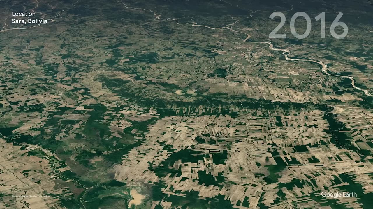 Nos forêts | Timelapse dans Google Earth