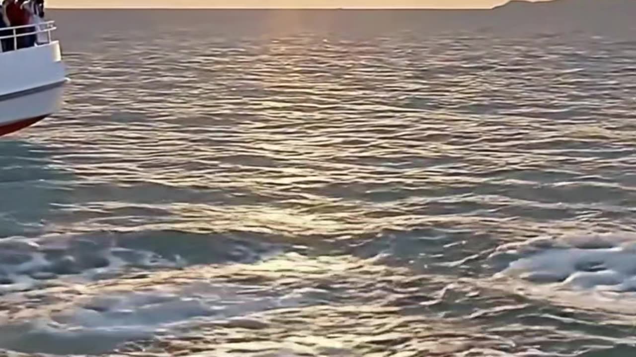 SUNSET Failed Scenes 4 #yacht