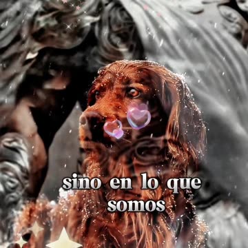 REFLEXIONES 💫 🤍 💫 🤍