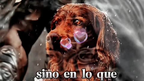 REFLEXIONES 💫 🤍 💫 🤍