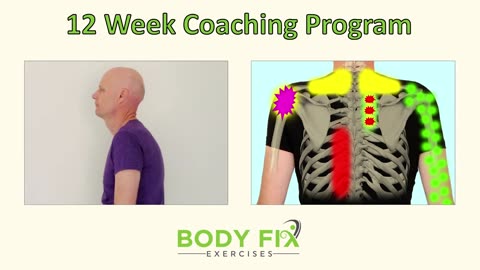 4 Exercises To Fix Middle Back Pain