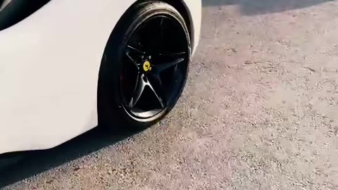 💨👑 The King of Luxury Cars: Speed and Style! | LuxurySportsCars