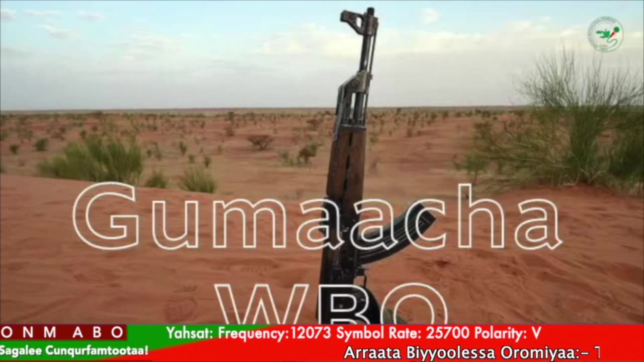 Gabaasa Gumaacha ONM-ABO Caamsaa 15-2025 itti dhiyaadhaa!