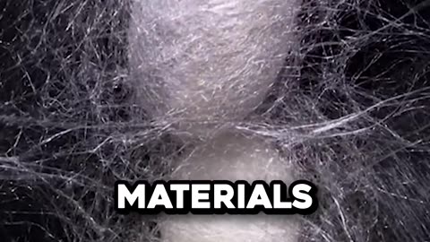 Your Favorite Clothes Might Be Made of WORMS