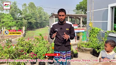 মনকে ভালো ও সুস্থ রাখতে আজই করুন ছাদ বাগান 🌿 | Rooftop Gardening for Mental Health