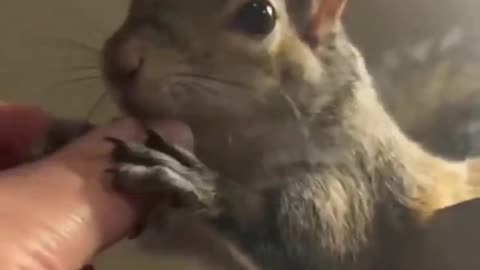 He felt it for the first time...