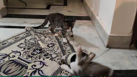 2nd Aug Wrench & Alt getting acclimatized with each other Part 3
