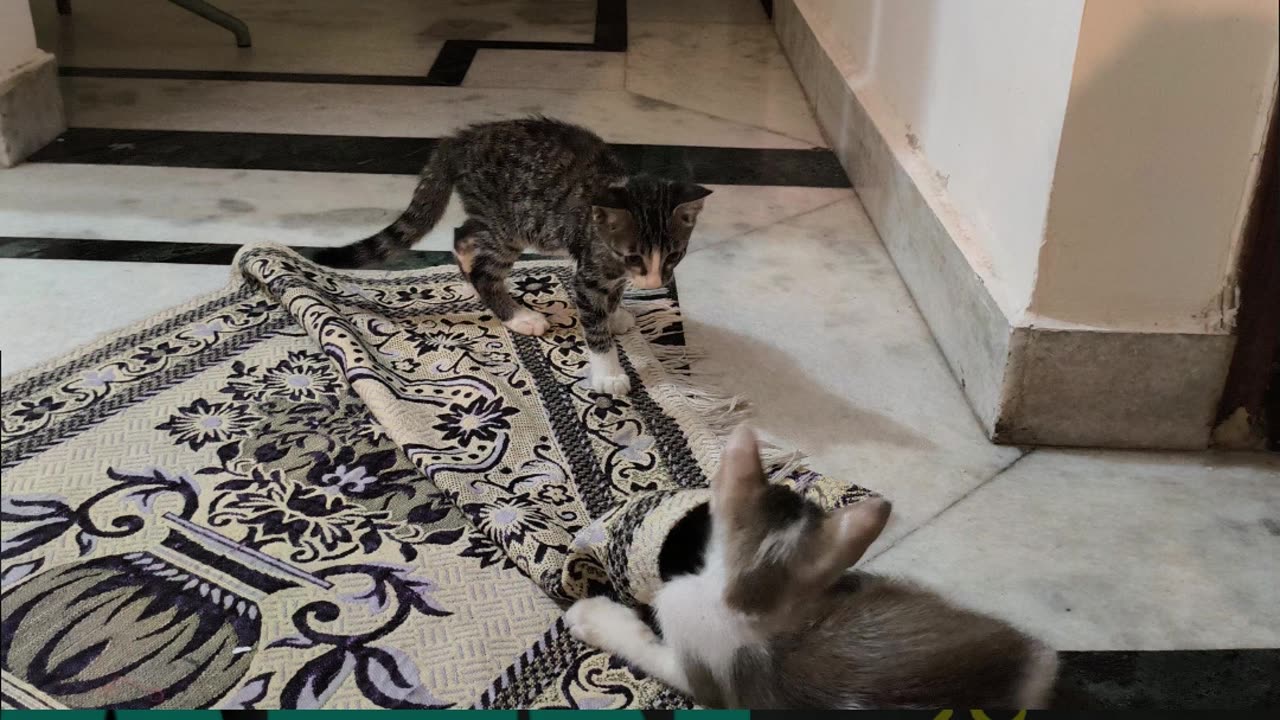 2nd Aug Wrench & Alt getting acclimatized with each other Part 3